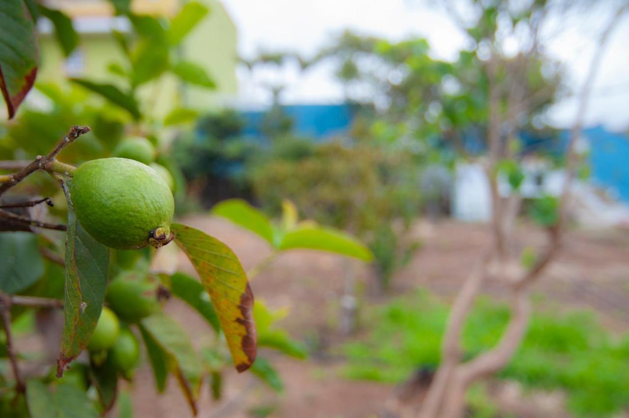La Huerta De Manuel Villa Tejina ภายนอก รูปภาพ